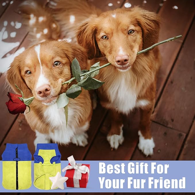 Idepet Dog Fleece Vest Sweater Zip Up Warm Pullover Dogs Jacket with D-Ring Leash Winter Cold Weater Coat Pet Sweatershirt Clothes Hoodie for Small Medium Dogs Boy Girl (Blue/Green, XS)