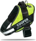 Personalized No-Pull Dog Harness with Name Patch, Adjustable, Reflective, Padded, Heavy Duty Pet Vest to Prevent Tugging, Pulling, or Choking, Training and Walking, Green, 2XL