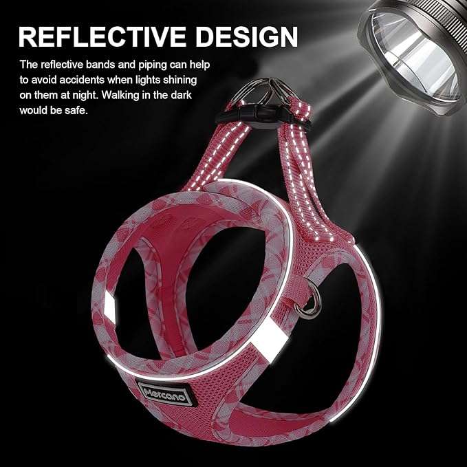 Mercano Soft Mesh Dog Harness and Leash Set, No-Chock Step-in Reflective Breathable Lightweight Easy Walk Vest Harnesses with Safety Buckle for Small Dogs, Cats (S, Fuchsia)