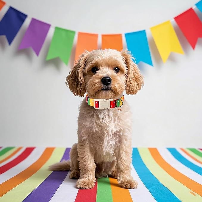 DOGWONG LGBT Dog Collar, Rainbow LGBTQ Dog Collars, Adjustable Cute Pride LGBT Pet Collars Design Quick Release Buckle Dogs Necklace for Small Medium Large Dogs