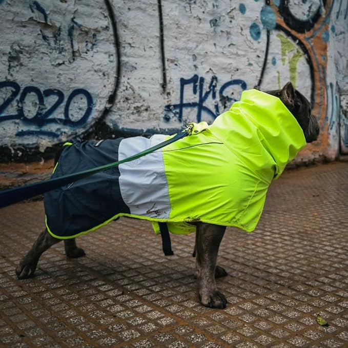 Spark Paws Dog Raincoat, Waterproof Windproof Rain Jacket, for Small Medium Large Extra Large Dogs, Reflective Breathable Full-Body Coverage Dry Suit - Neon White Navy Blue, 4XL