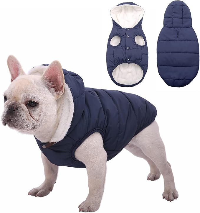 Fleece Hoodie, Windproof Waterproof Coat, Winter Warm Jacket, Cold Weather Pet Apparel Clothes Vest for Small Medium Large Dogs (S, Blue)