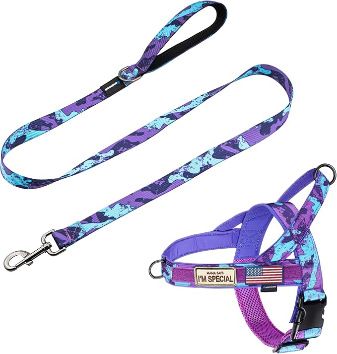 Annchwool No Pull Dog Harness with Padded Handle+5 Ft Leash,Escape Proof and Quick Fit to Adjust Dog Harness,Easy for Training Walking for Small & Medium and Large Dogs(Camo Purple Set,S)