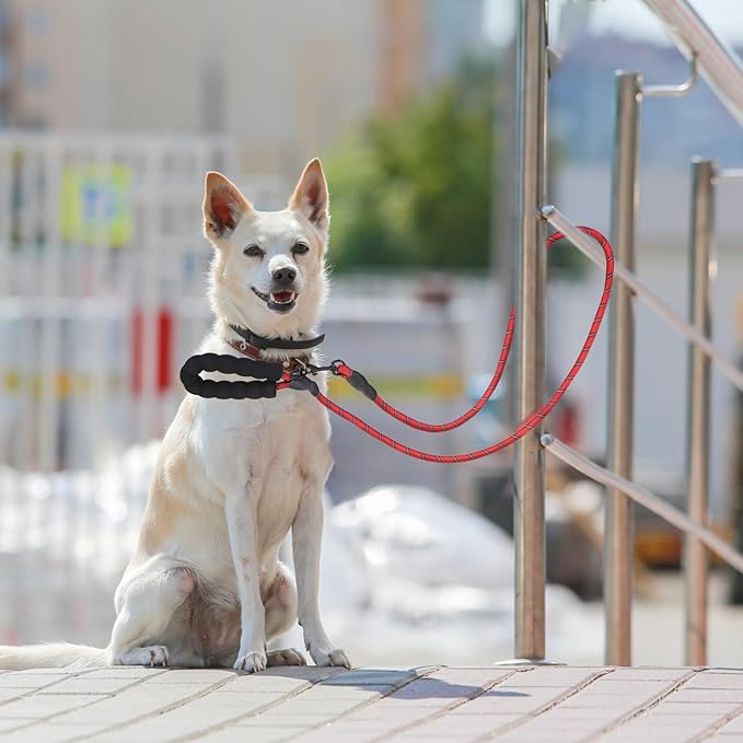 BEAUTYZOO Heavy Duty Rope Dog Leash 6 Pack, 5FT Nylon Pet Lead With Reflective Thread, Soft Padded Handle for Large Medium Dogs Small Puppy