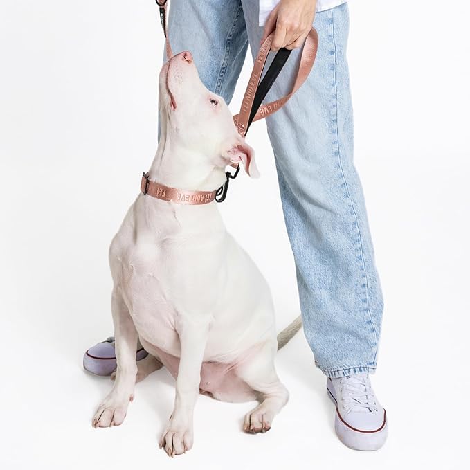 2025 New Edition, Fei & Eve MagEase Dog Collar - Patented Magnetic Buckles | Fur-Safe | Premium 210D Nylon | 450LB Escape-Proof | Adjustable Fit | Large (Blush)