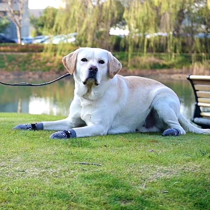 KOOLTAIL Dog Socks for Hot/Cold Pavement to Prevent Licking Paws,Dog Boots&Paw Protector for Hardwood Floors Anti Slip,Traction Control No Twist Grip Booties for Small Medium Large Senior Dogs M