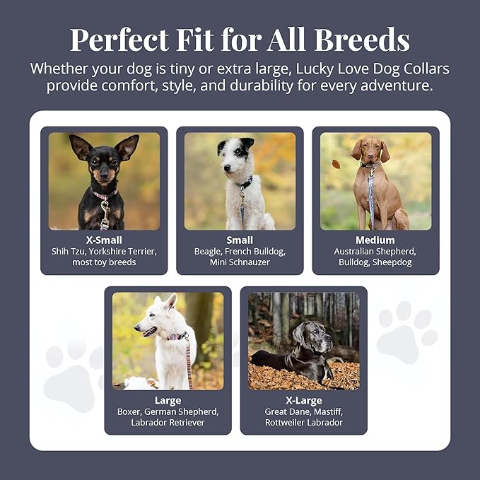 Lucky Love Dog - Adjustable Dog Collar with Easy Click Buckle for Small to Large Dogs, Durable, & Comfortable Collar for Male & Female Dogs, Pet Collar for Puppies & Adult Dogs - Zuzu, Large