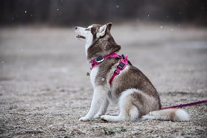 TRUE LOVE Adjustable No-Pull Dog Harness Reflective Pup Vest Harnesses Comfortable Control Brilliant Colors TLH5651(Fushcia,M)