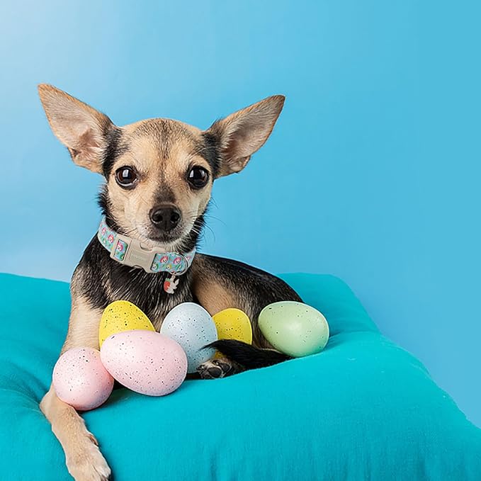 DOGWONG Easter Dog Collar, Cute Blue Egg Bunny Dog Collars, Adjustable Easter Rabbit Pet Collars Design Dog Collar with Quick Release Buckle for Small Dogs