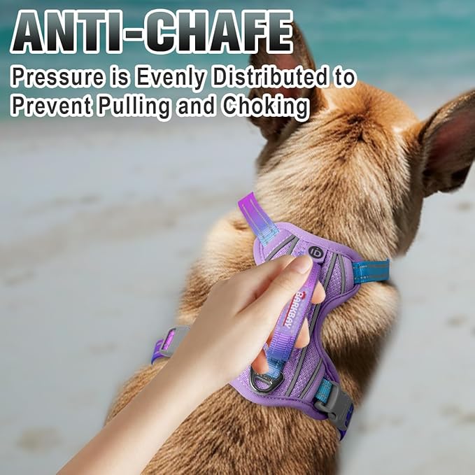 BARKBAY No Pull Dog Harness Large Reflective Dog Harness with Front Clip and Easy Control Handle for Walking Training Running with ID tag Pocket(Lavender Sky,S)