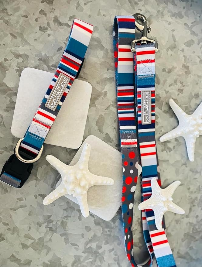 Lucky Love Dog - Adjustable Dog Collar and Leash Set with Easy Click Buckle for Small to Large Dogs, Durable, & Comfortable Collar for Male & Female Dogs, Puppies & Adult Ones - Linus Combo, Small