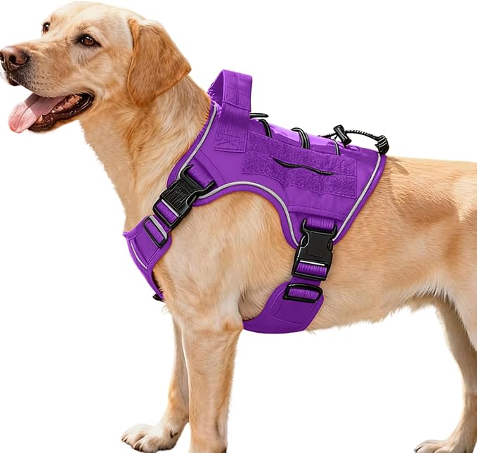 Heavy-Duty Tactical Dog Harness for Large Dogs, No Pull Adjustable Reflective Pet Vest with Molle System, K9 Military-Grade Control for Service Training, Outdoor & 10+ Breeds, Purple, Medium