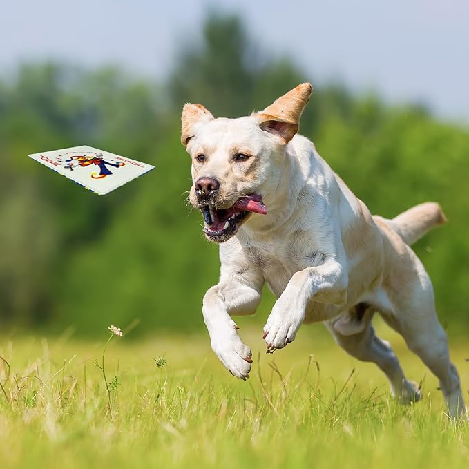 15PCS Funny Poker Dog Toys- Plush Interactive Toys with Crinkle Paper for Small, Medium Puppies- Fun Novelty Play- Cool Stuffed Gifts for Dog Birthday(Black)