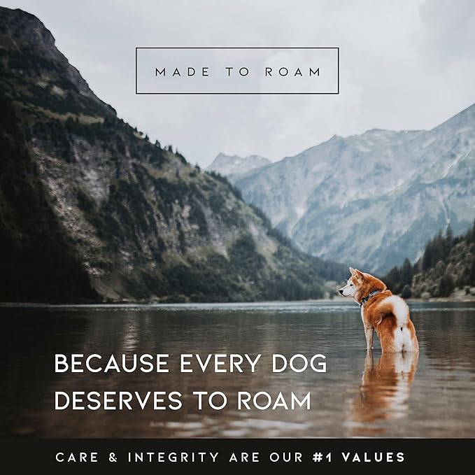 MADE TO ROAM Premium Explorer Harness - Y-Shaped Dog Harness with Adjustable Durable Nylon, Soft Padding, Metal Buckles and Leather Handle for Small, Medium, Large Dogs (California Horizon, Size 5)