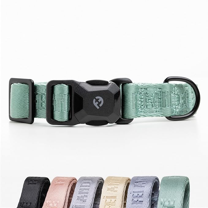 2025 New Edition, Fei & Eve MagEase Dog Collar - Patented Magnetic Buckles | Fur-Safe | Premium 210D Nylon | 450LB Escape-Proof | Adjustable Fit | Small (Glacier Green)