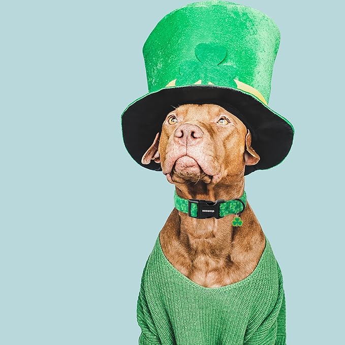 DOGWONG St. Patrick's Day Dog Collar, Cute Green Clover Dog Collars, Adjustable St. Patrick's Day Pet Collars Design Dog Collar with Quick Release Buckle for Boy Female Dogs