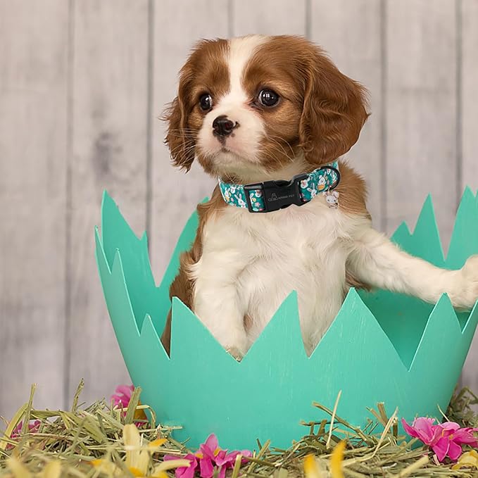 ARING PET Easter Dog Collar-Cute Green Easter Eggs Dog Collar, Adjustable Carrot&Rabbit Pet Collars Puppy Collar Gifts with Quick Release Buckle for Girl&Boy Dogs