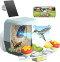 Smart Bird Feeder with Camera Solar Powered - 2K HD Live Video Camera AI Identify Birds, Visible Window Auto Capture& Motion Detection -Instant Arrival Alerts, Birds Lover Gifts