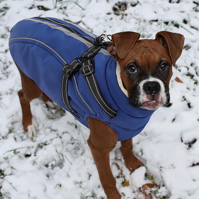 Dog Winter Coat with Harness Built in Warm Puffer Dog Jackets for Small Medium Large Dogs Windproof Waterproof Outfit with Plush Lining and Reflective Stripes (Blue, 2XL)