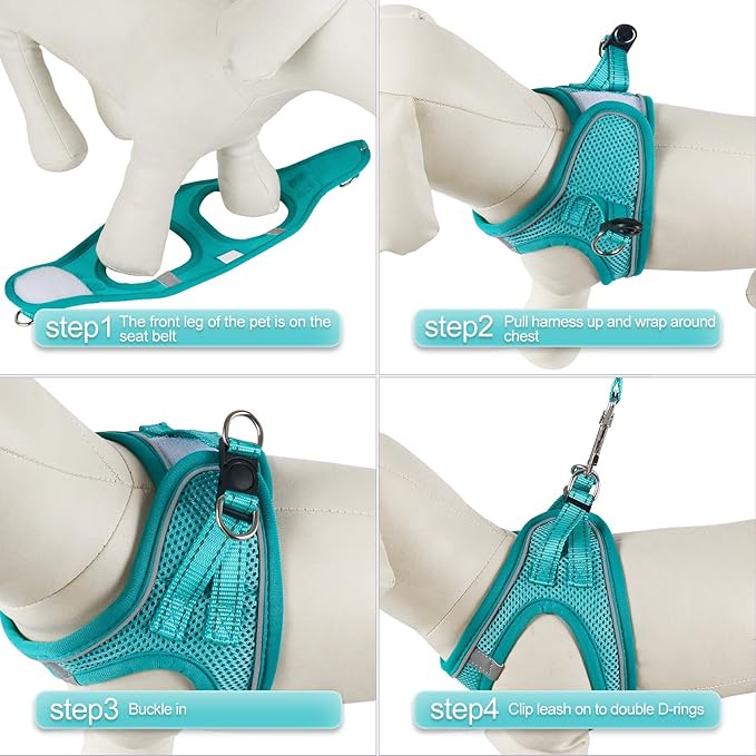 YIMEIS Dog Harness and Leash Set, No Pull Soft Mesh Pet Harness, Reflective Adjustable Puppy Vest for Small Medium Large Dogs, Cats (Turquoise, X-Small (Pack of 1)