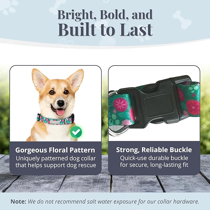 Lucky Love Dog - Adjustable Dog Collar with Easy Click Buckle for Small to Large Dogs, Durable, & Comfortable for Male & Female Dogs, Pet Collar for Puppies & Adult Ones - Penny, Small