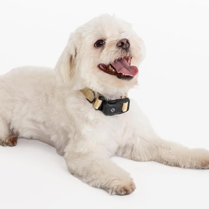 2025 New Edition, Fei & Eve MagEase Dog Collar - Patented Magnetic Buckles | Fur-Safe | Premium 210D Nylon | 450LB Escape-Proof | Adjustable Fit | Small (Champagne)