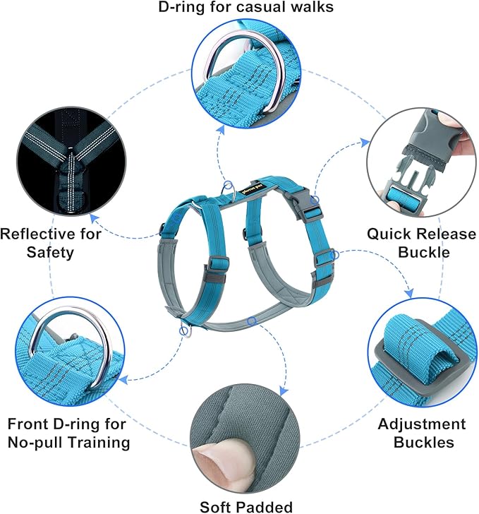 Plutus Pet No Pull Dog Harness, Adjustable Nylon Harness with Soft Padding, Reflective and Heavy Duty Dog Harness for Small, Medium, Large Dogs(Cyan, S)