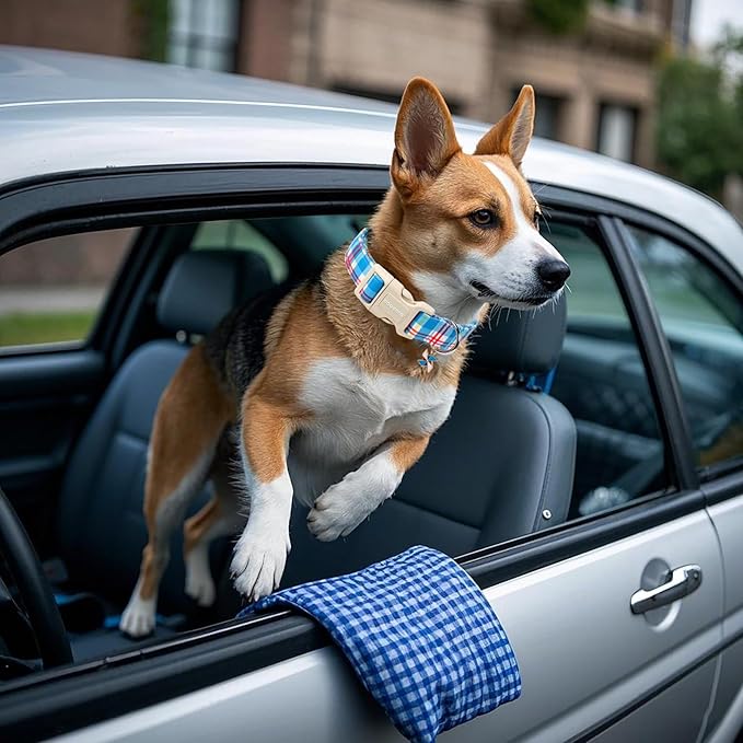 DOGWONG Blue Plaid Dog Collar- Cute Checkered Dog Collars Adjustable Designer Blue Puppy Dog Collar for Small Medium Large Dogs L