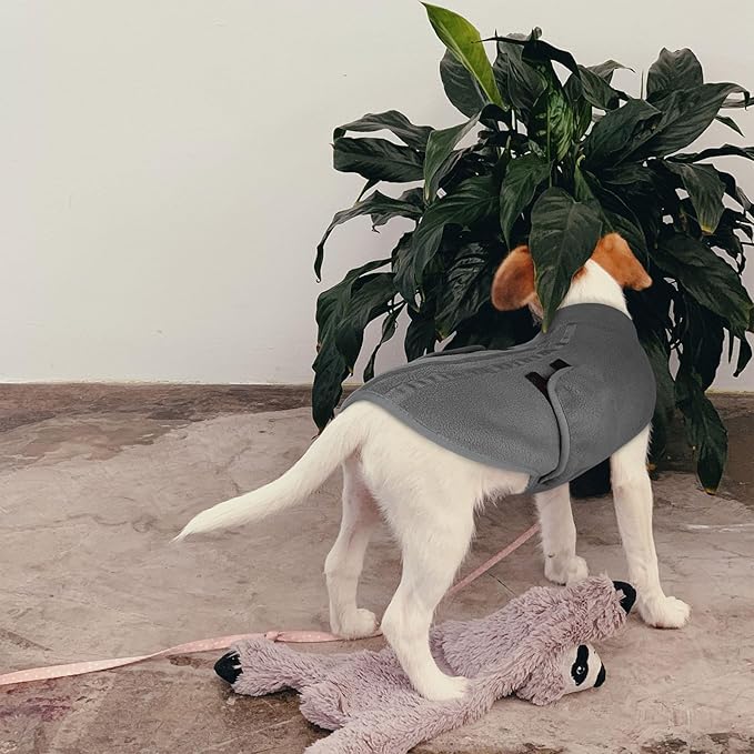 Queenmore Medium Dog Sweaters, Soft Fleece Vest Pullover Dog Jacket with Leash Hole, Warm Winter Dogs Clothes Cold Weather Doggy Dachshund Sweater for Medium Dogs Cats Boy or Girl (Grey,M)