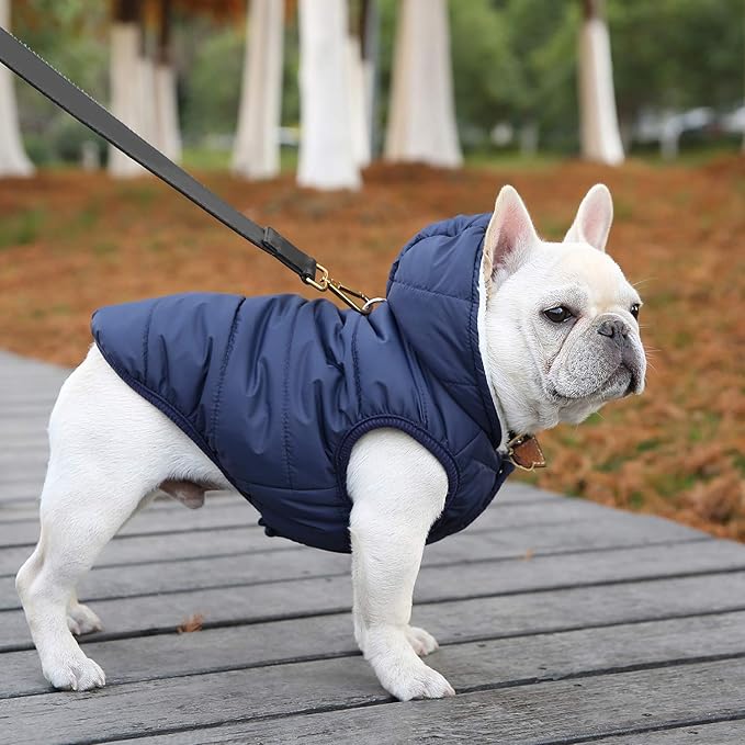 Fleece Hoodie, Windproof Waterproof Coat, Winter Warm Jacket, Cold Weather Pet Apparel Clothes Vest for Small Medium Large Dogs (2XL, Blue)