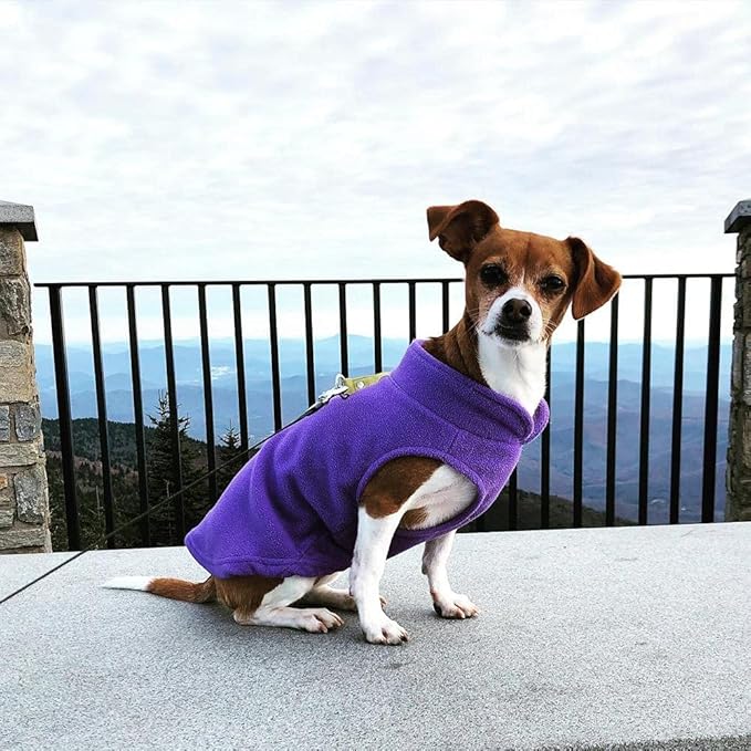 Gooby Fleece Vest Dog Sweater - Lavender, Medium - Warm Pullover Fleece Dog Jacket with O-Ring Leash for Small to Medium Dogs