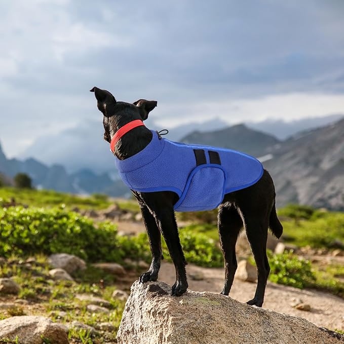 Queenmore Small Dog Sweater, Soft Fleece Vest Pullover Dog Jacket with Leash Hole, Warm Winter Dog Coats Cold Weather Doggy Dachshund Sweaters for Small Dogs Cats Boy or Girl (Blue, XS)