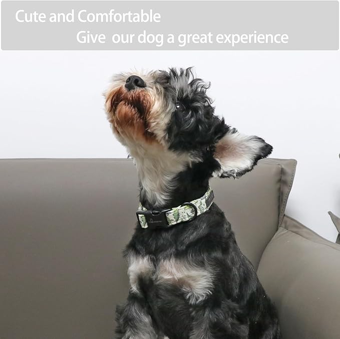ARING PET Dinosaur Dog Collar-Cute Dog Collar for Small Dogs, Adjustable Comfortable Cotton Boy Dog Collars for Small Medium Large Dogs, Small
