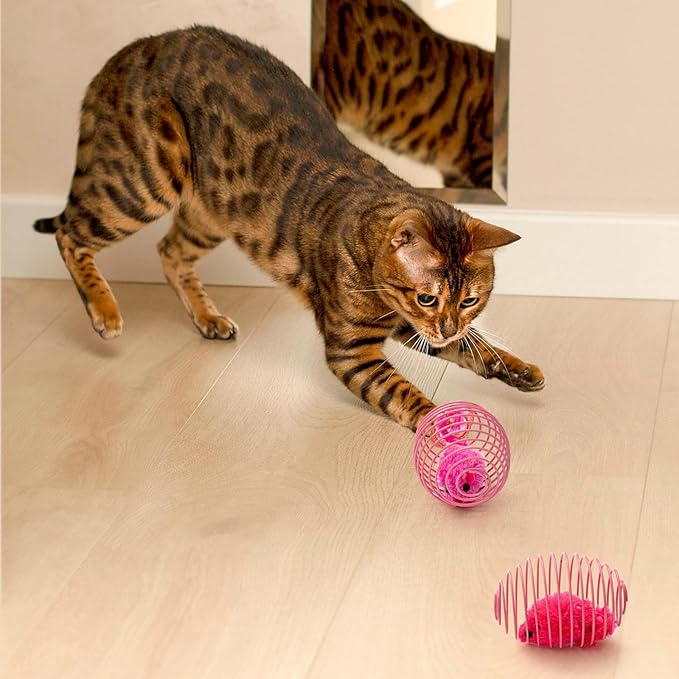 Jecery 5 Pcs Halloween Cat Spring Balls Toys Stretchable Rolling Balls Colorful Playful Coils Interactive Spring Action Toy Caged Rats for Kitten Cat Pet Supplies(Mouse and Bell,Colorful,25 Pcs)