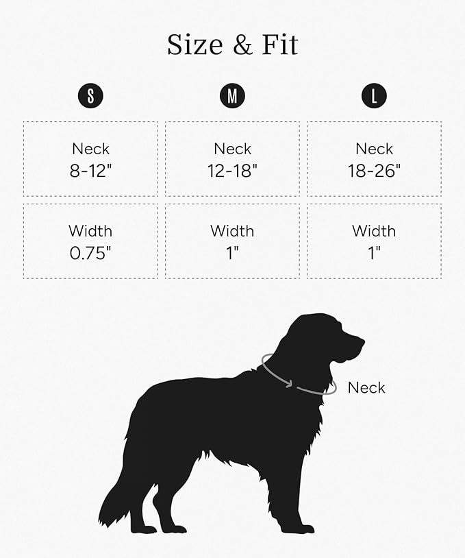 2025 New Edition, Fei & Eve MagEase Dog Collar - Patented Magnetic Buckles | Fur-Safe | Premium 210D Nylon | 450LB Escape-Proof | Adjustable Fit | Medium (Twilight Gray)