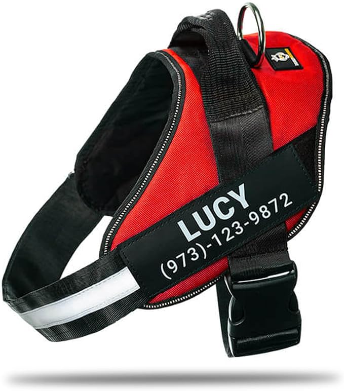 Personalized No-Pull Dog Harness with Name Patch, Adjustable, Reflective, Padded, Heavy Duty Pet Vest to Prevent Tugging, Pulling, or Choking, Training and Walking, Red, S
