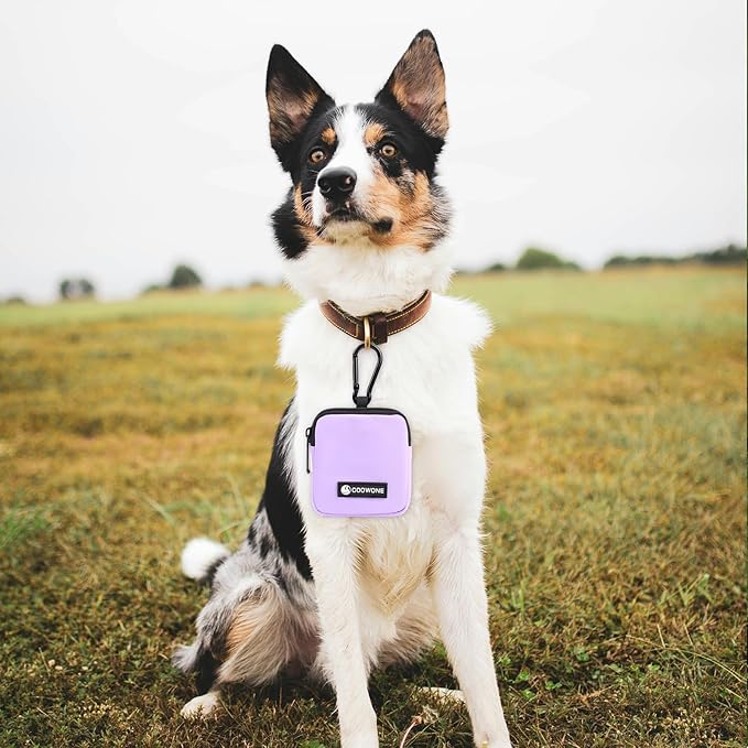 COOWONE Dog Treat Pouch Pocket Sized Pet Puppy Training Pouch for Dog Training Behavior Aids, Waterproof Nylon Fabric Dog Poop Bag Holder, Hands Free Dog Walking Bag with Metal Carabiner (Violet)