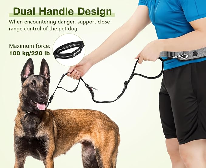 Pecute Hands Free Dog Leash with Pouch, Waist Belt Fanny Pack with Soft Padds, Dual Padded Handles and Durable Bungee for Walking, Hiking, Jogging Biking, and Running (Up to 220lbs)