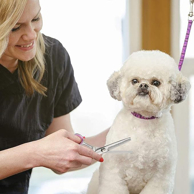 GEMEK Pet Cat Dog Grooming Scissors Set 4 Pieces Stainless Steel Professional Pet Trimmer Kit - 7.5 inch Straight Cutting, Thinning Shears, Curved, Grooming Combs