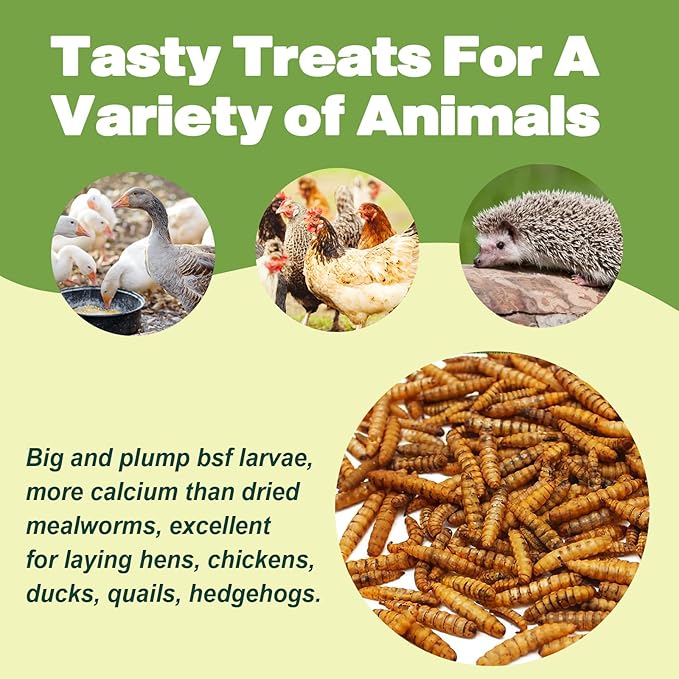 10LB Dried Black Soldier Fly Larvae, 86X Calcium Than Dried Mealworms, High Protein Non-GMO Organic Chicken Feed