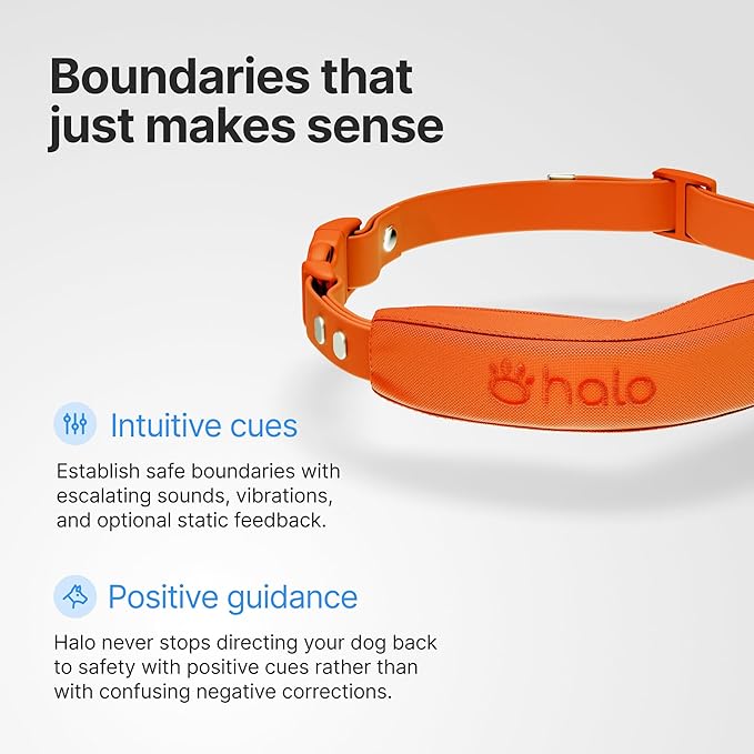 Halo Collar 5, New Wireless Dog Fence & GPS Dog Collar, Subscription Required, Waterproof, Sunburst, One Size