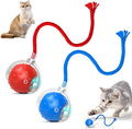 2pcs Tiny Fetch Dog Toy, Tinyfetch Interactive Dog Cat Toys Balls with Birdsong, 360° Smart Automatic Rolling Dog Ball Toy with Rope for Pets Indoor & Outdoor Play (Blue+Red)
