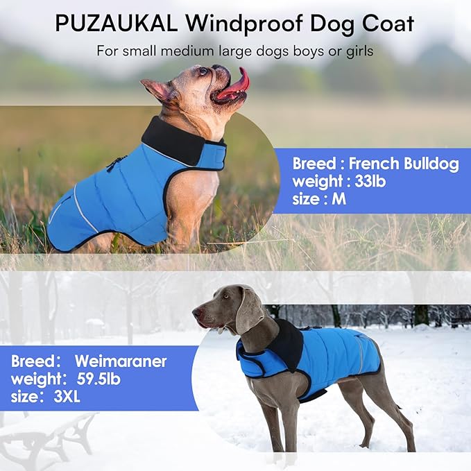 Dog Coat, Large Dog Jacket, Windproof Dogs Puffer Jacket, Fleece Lined Warm Dogs Winter Coat with Harness Hole(Blue 2XL)