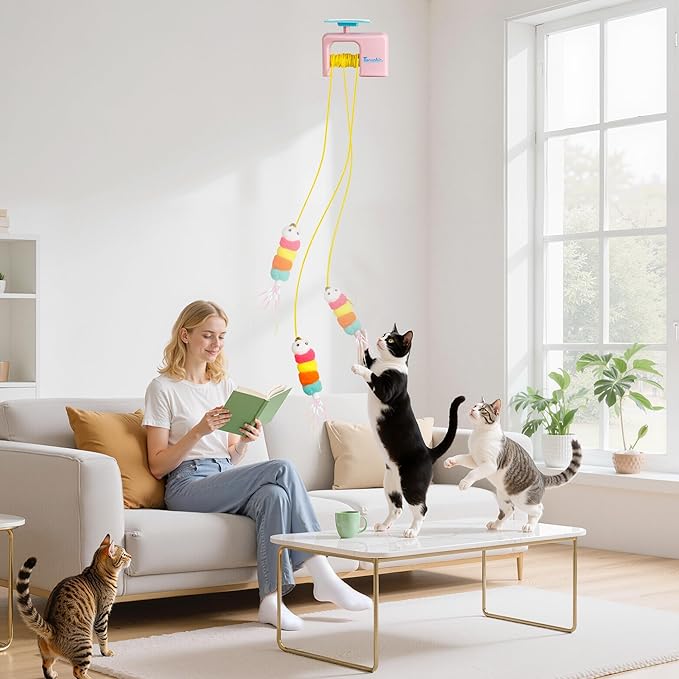 Interactive Cat Toy for Indoor Cat,Automatic Door Hanging Cat Toy with Detachable Design,Kitten Toys for Indoor Cats Self Play,3.27 * 1.69 * 2.76Inch