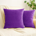 HWY 50 Purple Velvet Throw Pillow Covers 16x16 Inch, Pack of 2 Soft Cozy Solid Decorative Luxury Cushion Cases for Couch Sofa Bed Living Room Bedroom