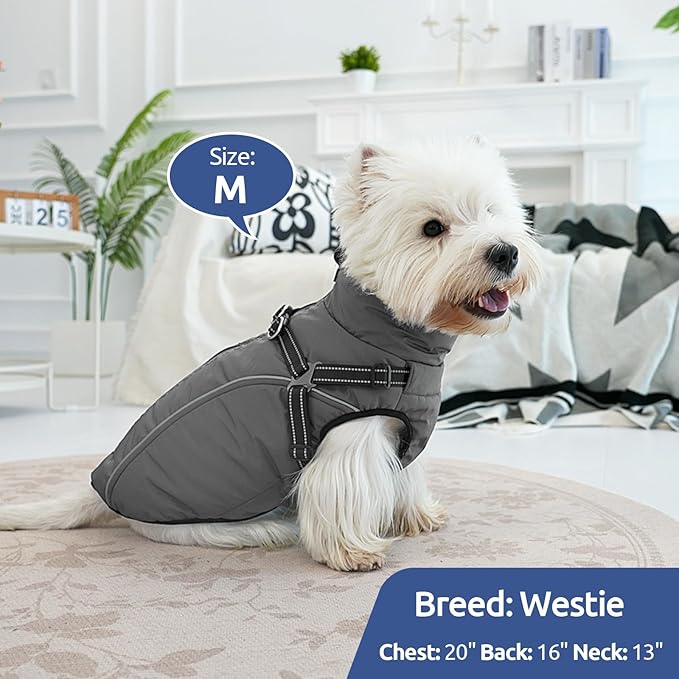 Dog Winter Coat with Harness Built in Warm Puffer Dog Jackets for Small Medium Large Dogs Windproof Waterproof Outfit with Plush Lining and Reflective Stripes (Blue, M)