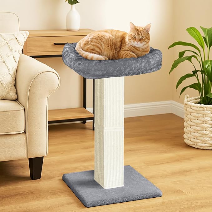 AGYM Cat Scratching Post, 32”Cat Scratcher with Large Plush Perch, Sisal & Carpet Scratching Post, Vertical Posts with Elevated Bed for Indoor Cats, Removable& Washable Cover, Grey