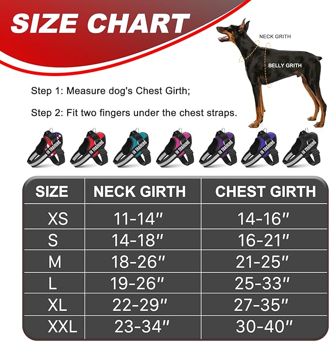 Essential Dog Harness with 3 Leash Clips - No-Pull, Adjustable, Comfortable Pet Vest Harness for Small to Large Dogs - Easy On, No Choke, Reflective, Padded Harness for Walking and Training