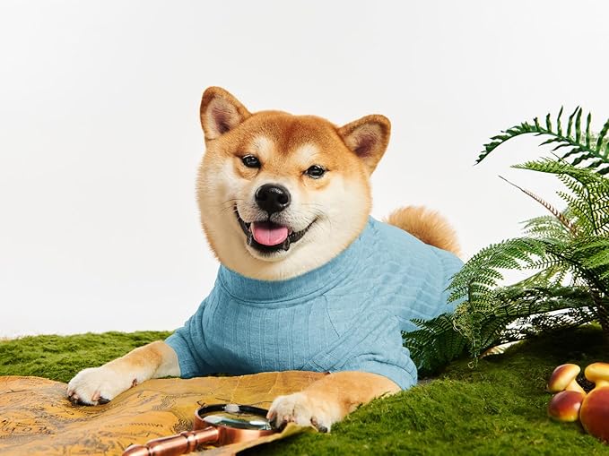 Dog Turtleneck Knitted Shirt Stretchy Pullover Sweater Winter Warm Puppy Clothes for Small Medium Dogs