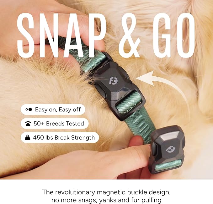 2025 New Edition, Fei & Eve MagEase Dog Collar - Patented Magnetic Buckles | Fur-Safe | Premium 210D Nylon | 450LB Escape-Proof | Adjustable Fit | Large (Glacier Green)